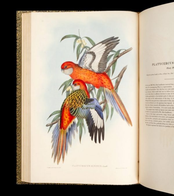 The Birds of Australia